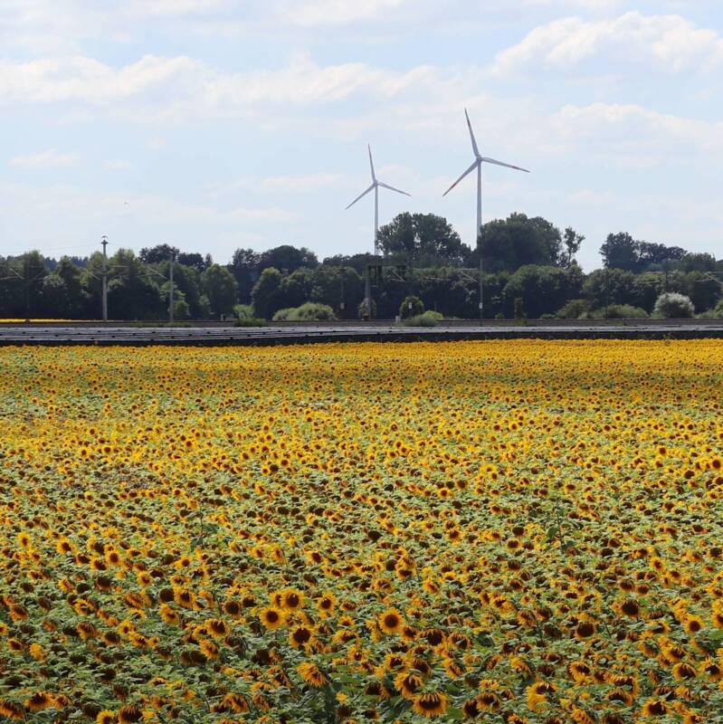 Natur und Energie in Maisach