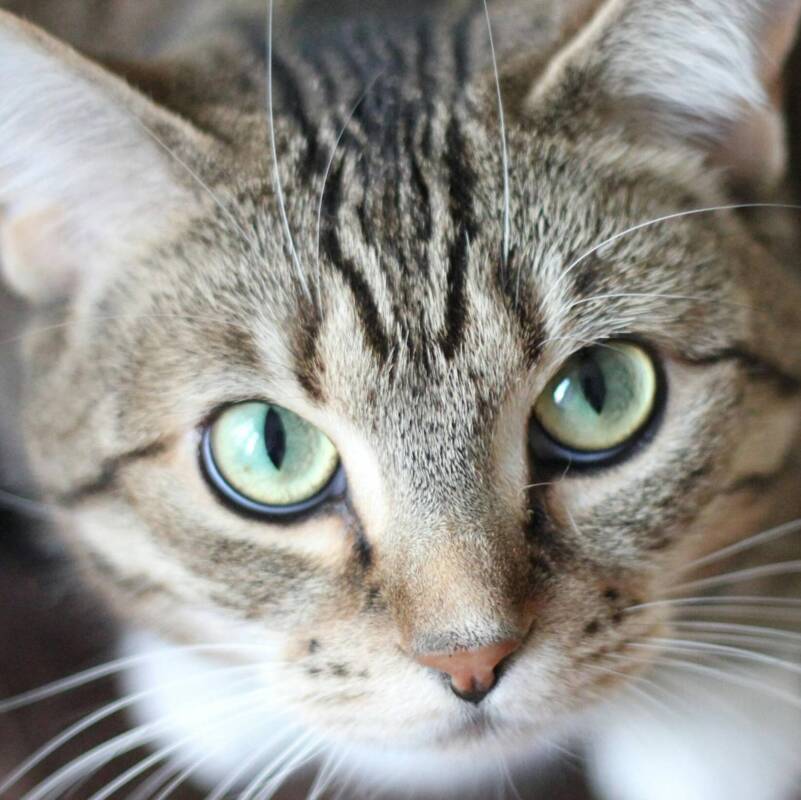 Aufruf zur Futterspende