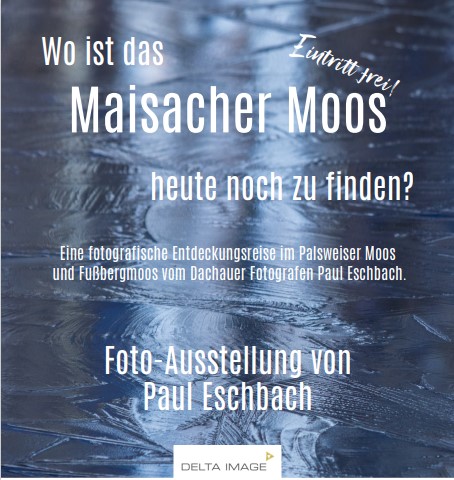 Foto-Ausstellung über das Maisacher Moos